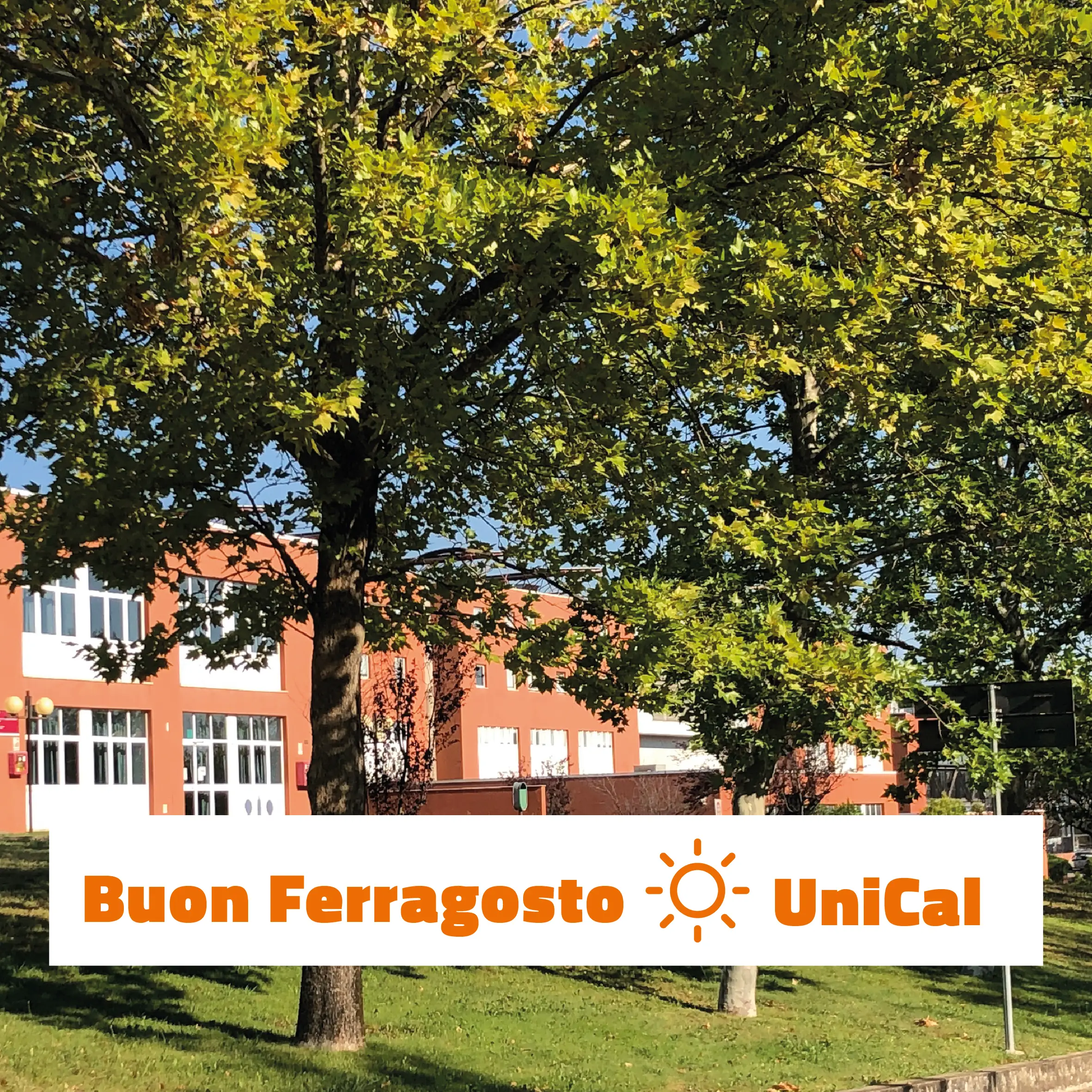 ferragosto mob